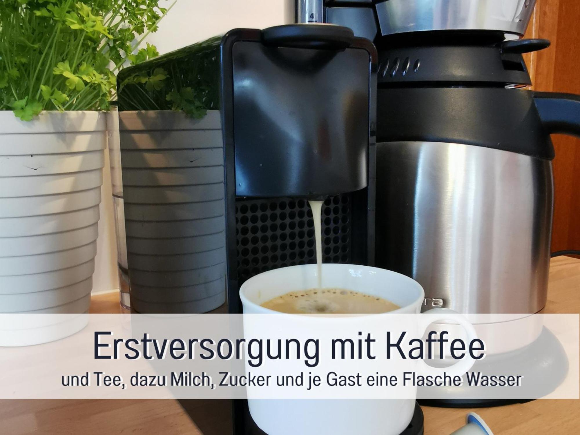 Ferienhaus Schwaab-Scherr, Genau Zwischen Bernkastel-Kues Und Traben-Trarbach, Mit Kostenlosem Oepnv-Ticket Fuer Bus Und Bahn, Parkplaetzen Und Fahrradgarage Erden ภายนอก รูปภาพ