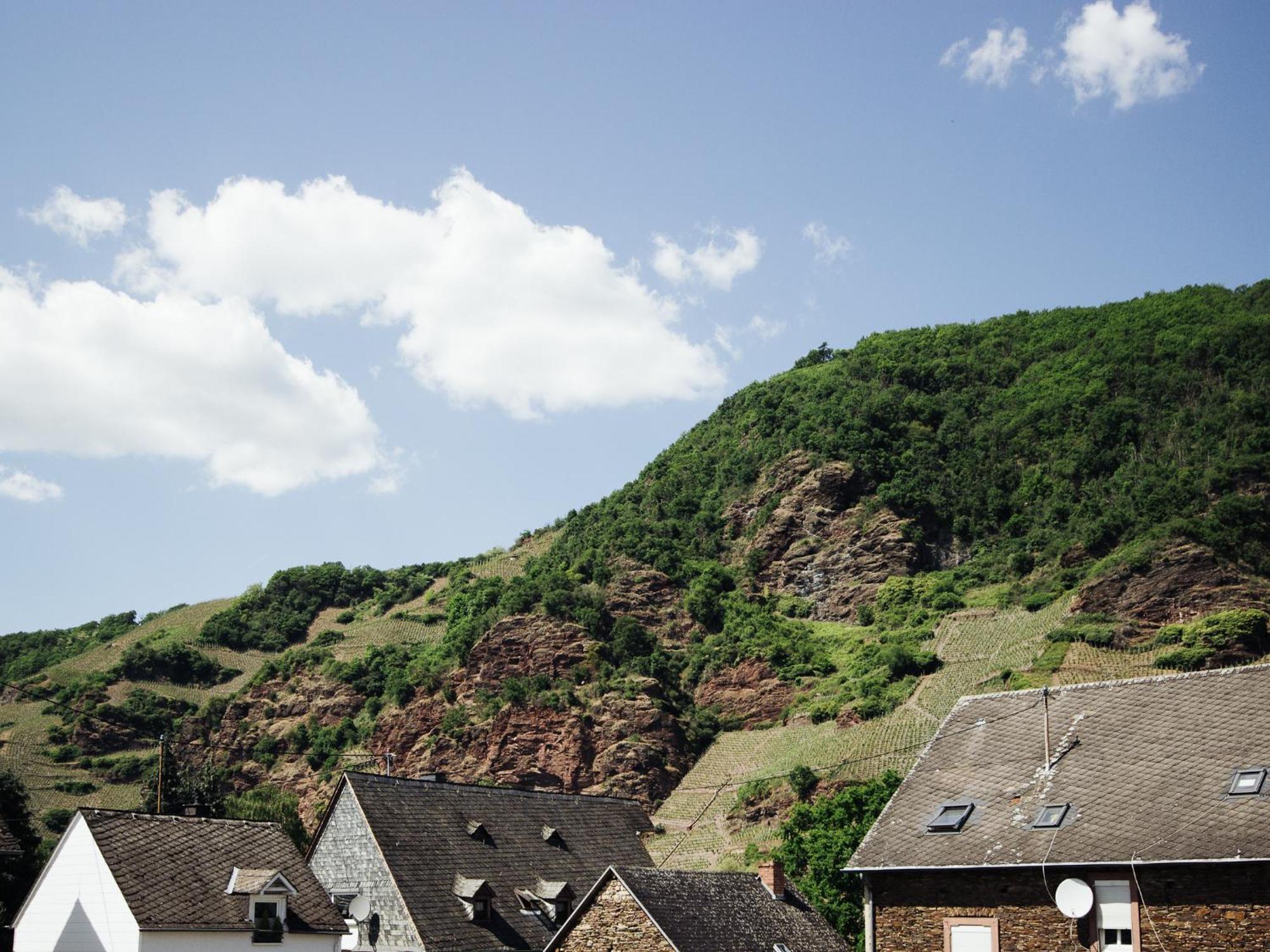 Ferienhaus Schwaab-Scherr, Genau Zwischen Bernkastel-Kues Und Traben-Trarbach, Mit Kostenlosem Oepnv-Ticket Fuer Bus Und Bahn, Parkplaetzen Und Fahrradgarage Erden ภายนอก รูปภาพ